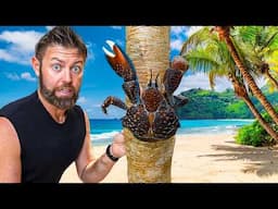 Catching A Giant Crab For Food With Bare Hands