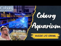 Aussie LFS Crawl - Coburg Aquarium