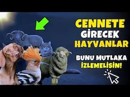 İslam’a Göre Cennete Girecek Hayvanlar! Bunu Mutlaka İzleyin