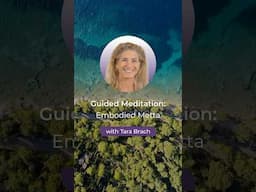 Guided Meditation: Embodied Metta with Tara Brach