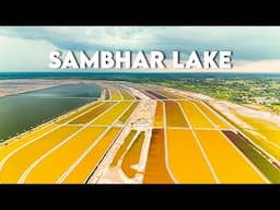 Sambhar Lake : India's Most Colourful Lake | MigratoryBirds | History & Culture | Lucky cinecom