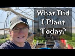 Planting Potatoes & Onions in Containers!