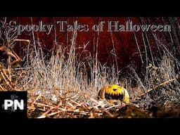 Spooky Tales of Halloween That Will Chill You to the Bone!