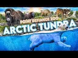 Zoo Tours: Arctic Tundra & Red Wolf Woods | Point Defiance Zoo