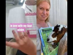 A step up in goat care! #goatlovers #goat #farmlife