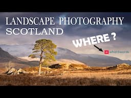 Landscape photography / Capturing Scot's pine / Scotland.