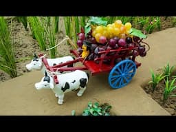 Diy Mini Farm Diorama | Bullock  Cart | Mini framing Science project Grapes farming