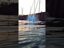 Breakwall mermaid video #michiganmermaid