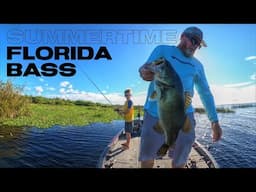 Florida Bass Fishing in the Summer