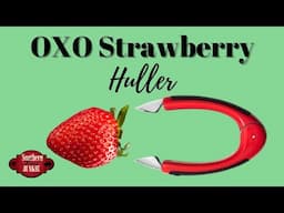 OXO Strawberry Huller (Easy to Use)