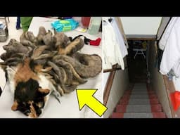 Grandpa Discovers Weird Creature In House - Bursts Into Tears When He Realizes What It Is