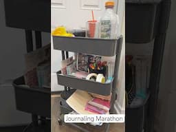 Journal Marathon: Organizing My Journaling Cart #journaling