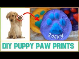 DIY Puppy Paw Print - Homemade Flour and Salt Paw Print Mold (Crafts for Your Dog)