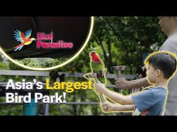 Discover the Wonders of Bird Paradise in the Mandai Wildlife Reserve!