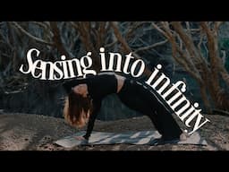 an infinite spine | 25 minute Embodied Vinyasa Flow to awaken the spine and pierce eternity