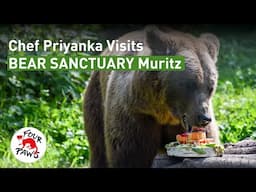 Chef Priyanka Serves Delicious Treat to Rescued Bears | FULL VIDEO | FOUR PAWS USA | [SUBS]