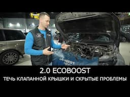 2.0 EcoBoost: Течь клапанной крышки и скрытые проблемы.