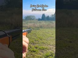 Daisy Red Ryder (Backyard plinking)