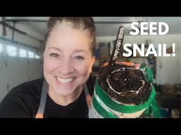 My First Time Trying The VIRAL Seed Snail Gardening Hack!