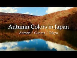 Autumn Colors in Japan 4K / Aomori / Gunma / Tokyo