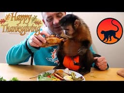 Monkey Happy Thanksgiving Dinner!