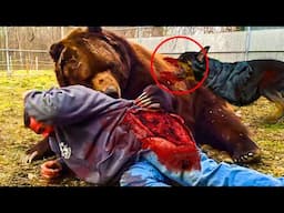 Brutal Moments Hero Animals Saved human Lives Caught On Camera (Part 4)