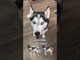 my dog tries to say MOOO