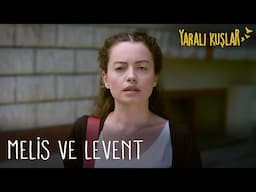 Meryem, Melis ve Levent'i görüyor | Yaralı Kuşlar