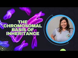 The Chromosomal Basis of Inheritance (Bio Ch. 15)