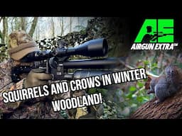 Crow and Squirrel shooting with FX Panthera | Gun rests for accurate shooting