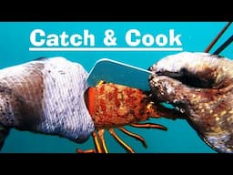 How to Spearfish CA Episode 23: LOBSTER Catch & Cook!