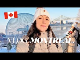 MINHA VIDA NO INVERNO CANADENSE ❄️ passeios, poutine, exercícios, trabalho e cozinhando com vocês ❤️