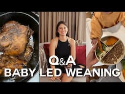 Answering Baby Led Weaning Questions and My Experience With It!