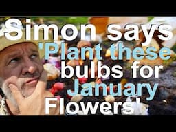 Simon says 'Plant these Bulbs for January Flowers'