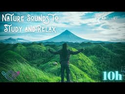 Nature Sounds to Study Calm and Being Relax | +10 Hours