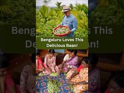 Tracing The Versatile Avarebele (Hyacinth Beans) To Its Roots! #bengaluru #foodvlog  #indianfood