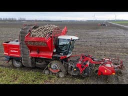 From beet to wheat | Muddy harvest 2024 | Agrifac & Valtra on tracks