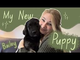 Welcome Bailey | MY FIRST PUPPY ♡