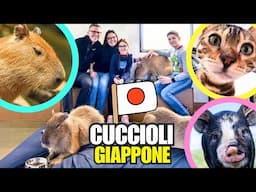 COCCOLIAMO CAPIBARA, MAIALINI e GATTINI in Giappone