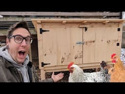 Building a SWEET Outdoor Chicken Brooder with Pallets