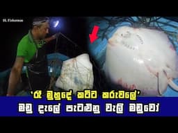 The Amazing Stingray Fish Catch | Sri Lankan Fishing