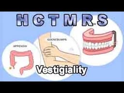 How Creationism Taught Me Real Science 104 Vestigiality