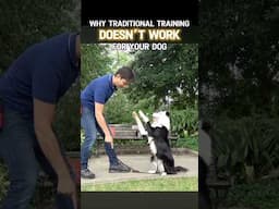 Why Traditional Training Doesn’t Work For Your Dog  #dogtraining #puppytraining #dogtrainingtips