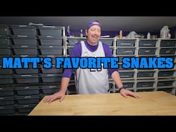 With Olympus Reptiles CLOSING, what is my actual FAVORITE SNAKE???