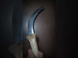 A scythe with ostrich bone handle #bladesmithing #knifecollection #blacksmith