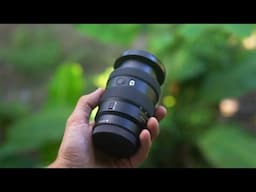 Sony 16-55 F2.8 Lens Review & Samples // In Thailand! 🇹🇭