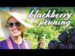 Pruning Blackberries: Spring, Summer, Fall & Winter