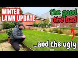 How do my lawns look now that it's winter -  the GOOD, the BAD and the UGLY!