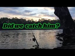 Chasing MONSTER CATFISH in the Murray River - Part Two