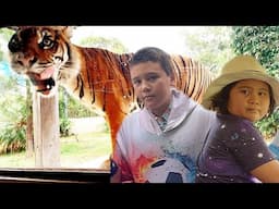 mind blowing moments @ Tarongga Zoo|Sydney Family Vlog Australia#pinay#sydneyvlogs#animals